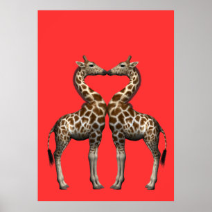Giraffes zoenen poster