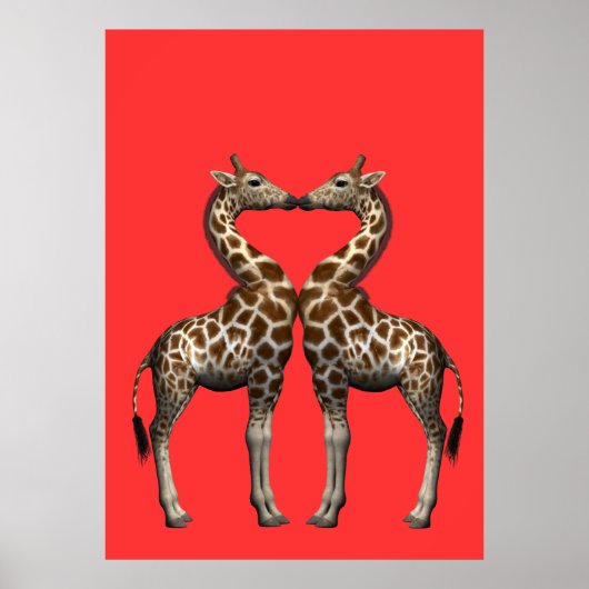 Giraffes zoenen poster (Voorkant)