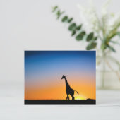 Giraffes zonsondergang briefkaart (Staand voorkant)