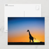 Giraffes zonsondergang briefkaart (Voorkant / Achterkant)