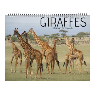 giraffesafari 2027 grote kalender