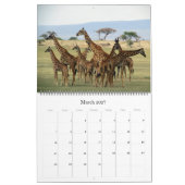 giraffesafari 2027 grote kalender (Mar 2027)