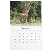 giraffesafari 2027 grote kalender (Feb 2027)