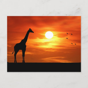 Giraffesilhouet bij zonsondergang briefkaart