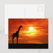Giraffesilhouet bij zonsondergang briefkaart (Voorkant / Achterkant)