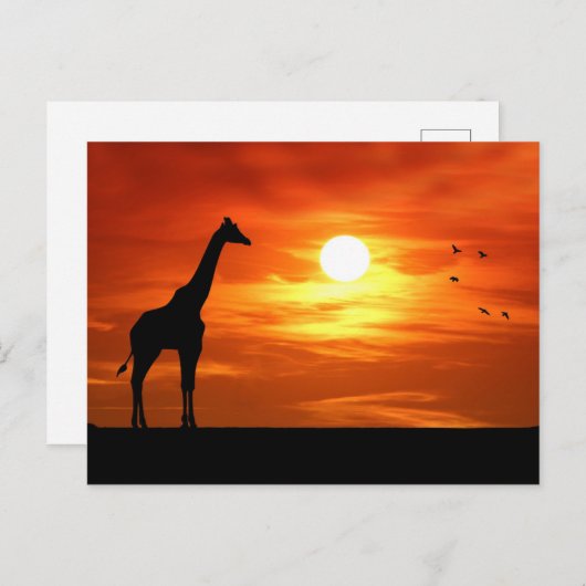 Giraffesilhouet bij zonsondergang briefkaart (Voorkant / Achterkant)
