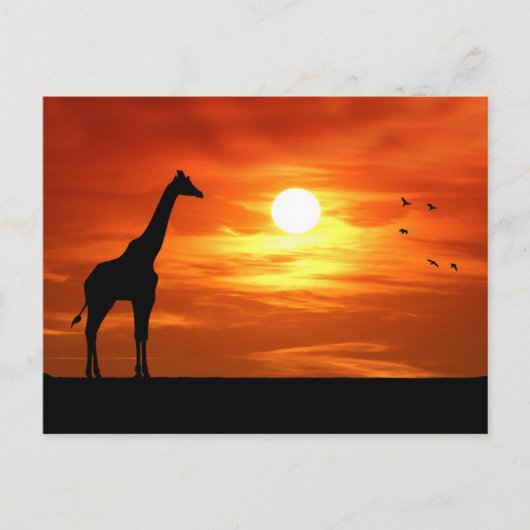 Giraffesilhouet bij zonsondergang briefkaart (Voorkant)