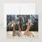 Giraffic Park Fun Foto: Vier Giraffes zitten Feestdagenkaart (Voorkant / Achterkant)