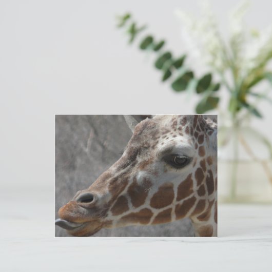 girafkop briefkaart (Staand voorkant)