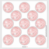 girale roze witte basketbal 13 spelers sticker (Vel)