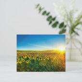 Girassol - Zonnebloem Drie Briefkaart (Staand voorkant)