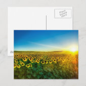 Girassol - Zonnebloem Drie Briefkaart (Voorkant / Achterkant)