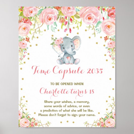 Girl Elephant Time Capsule First Birthday Sign Poster (Voorkant)
