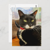  Girl Lucy Briefkaart (Voorkant / Achterkant)