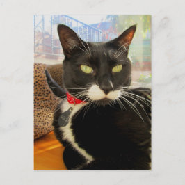 Girl Lucy Briefkaart