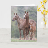 Girl Power - Galoping naar Wenskaart voor vrijheid Kaart (Gele Bloem)