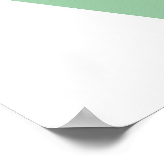 Girl Skateboarder Poster (Hoek)