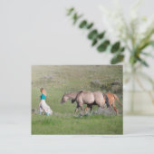 Girl with horses briefkaart (Staand voorkant)