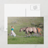 Girl with horses briefkaart (Voorkant / Achterkant)