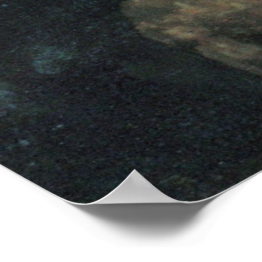 Girl with red hat by Johannes Vermeer Poster (Hoek)