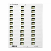 GirlFace 5 Etiket (Full Sheet)