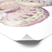 GIrls Baby Booty foto print Afdruk (Hoek)