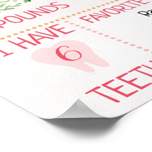 Girls Floral Woodland1st Birthday Milestone Poster (Hoek)