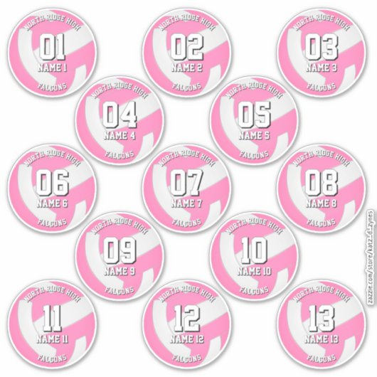 girls pink volleyball team stickers 13 athletes (Voorkant)