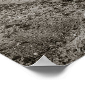 Girls Sunbathing, 1943. foto Poster (Hoek)