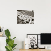 Girls Sunbathing, 1943. foto Poster (Thuiskantoor)