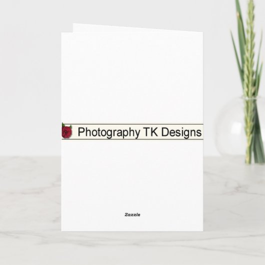 Girly Afstuderen gefeliciteerd met roze lint Kaart (Achterkant)