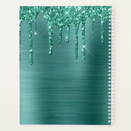 Girly Blauwgroen Glitter Geborsteld Metaal 2024 Planner (Achterkant)