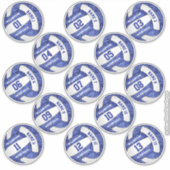 girly blue volleyball w player names set of 13 sticker (Voorkant)