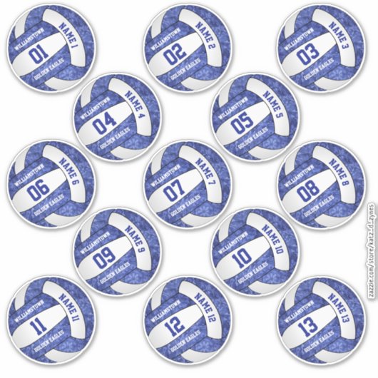girly blue volleyball w player names set of 13 sticker (Voorkant)