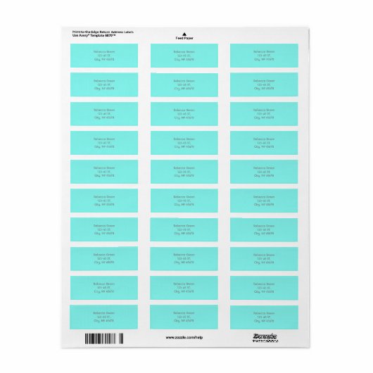 Girly chic turquoise aqua Robins Egg Blue Etiket (Full Sheet)