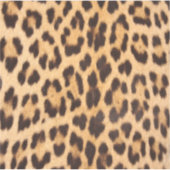 Girly chique wilde safari dier luipaard print sticker (Voorkant)