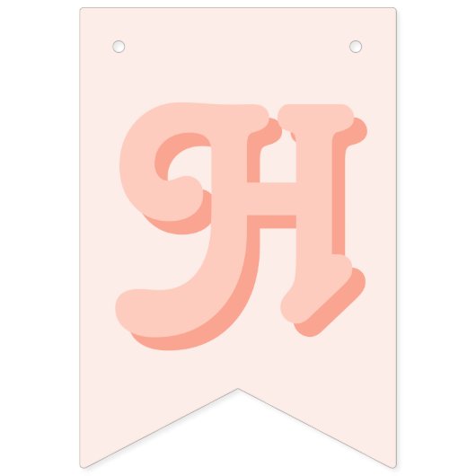 Girly Groovy Verjaardag Retro 2e Verjaardag Vlaggetjes (Tweede vlag)