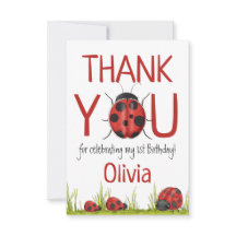 Girly Ladybug 1st Birthday Party