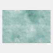 Girly Mint Witte Glam Ombre Luipaard Print Inpakpapier Vel (Voorkant 3)
