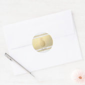 Girly Modern Gold Stripes, Gold Pineapple Ronde Sticker (Envelop)