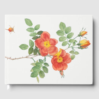 Girly Oranje Roos Floral Botanical Gastenboek