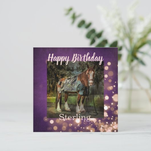 Girly Pink en Paarse Glitter Horse Birthday Kaart (Staand voorkant)