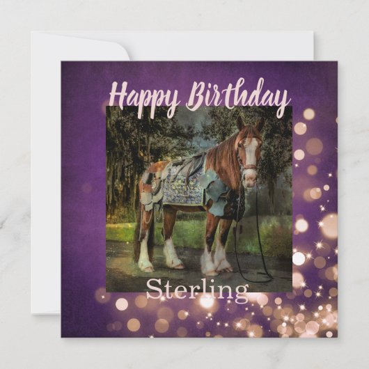 Girly Pink en Paarse Glitter Horse Birthday Kaart (Voorkant)