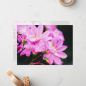 Girly Pink Spring Flowers Natuur Notitiekaartje (Voorkant / Achterkant in situ)