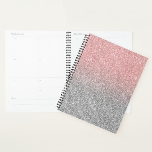 Girly Roos Gold Silver Glitter Ombre Design Planner (Display)