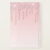 Girly Roos Gouden Glitter Drips Ombre Monogram 202 Planner (Achterkant)