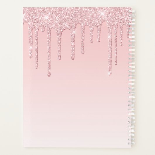 Girly Roos Gouden Glitter Drips Ombre Monogram 202 Planner (Achterkant)
