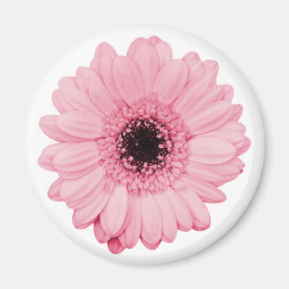 Girly roze magneet w / mooie gerbera bloem