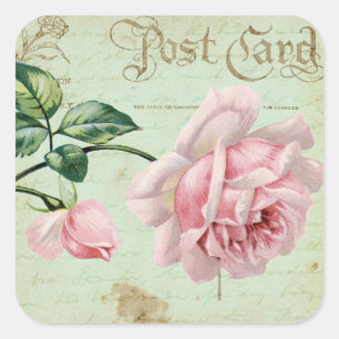 Girly  roze rozen Elegant Floral Cottage Vierkante Sticker