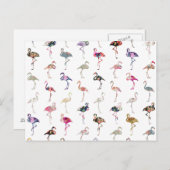 Girly Whimsical Retro Floral Flamingo's Patroon Briefkaart (Voorkant / Achterkant)